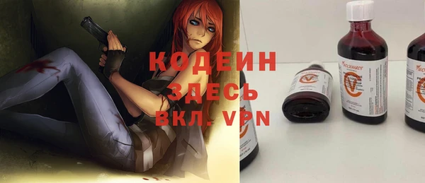 стаф Каменка