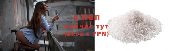стафф Каменск-Шахтинский