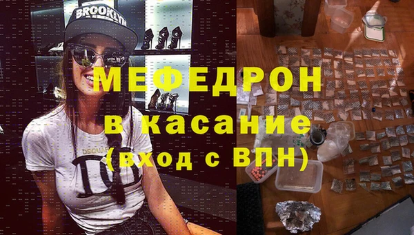 стаф Каменка