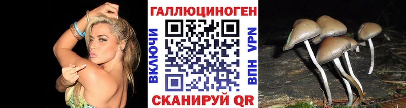 darknet клад  Краснозаводск  Псилоцибиновые грибы ЛСД 